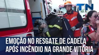 Emoção no resgate de cadela após incêndio na Grande Vitória