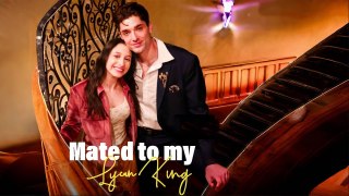 Mated to My Lycan King Part 1-10
