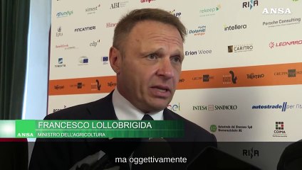 Lollobrigida: "Riordinare il decreto flussi"