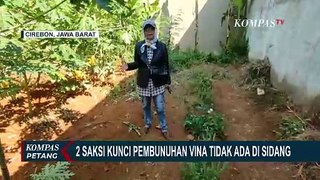 Pengacara Terpidana Kasus Pembunuhan Vina Ungkap 2 Saksi Kunci Tak Pernah Ada di Sidang