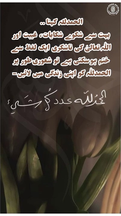 Alhamdulilah khena