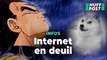 Kabosu, la chienne surnommée le « Doge » et à l’origine d’un des plus célèbres mèmes internet, est morte