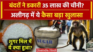 Aligarh Sugar Mil Audit Report में खुलासा, बंदरों पर चीनी घोटाले का आरोप | UP News | वनइंडिया हिंदी