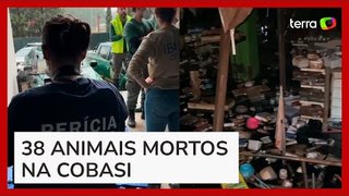 Pet shop deixou animais morrerem no subsolo e salvou computadores de enchente, diz delegada