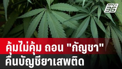 คุ้มไม่คุ้ม ถอน "กัญชา" คืนบัญชียาเสพติด | เข้มข่าวใหญ่ | 24 พ.ค. 67