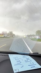 Pato de borracha atravessa estrada no Michigan, EUA