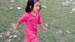 Kids are very happy with the dog||#trending #shorts #viral #foryou #NamalAli