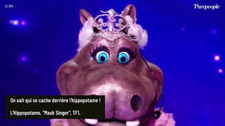 Mask Singer : On a découvert qui se cache derrière l'Hippopotame et c'est une star bien connue des Français !