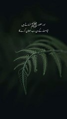 Allah ki raza k lia aps me pyar kya kro