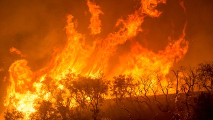 Incendies géants, enquête sur un nouveau fléau