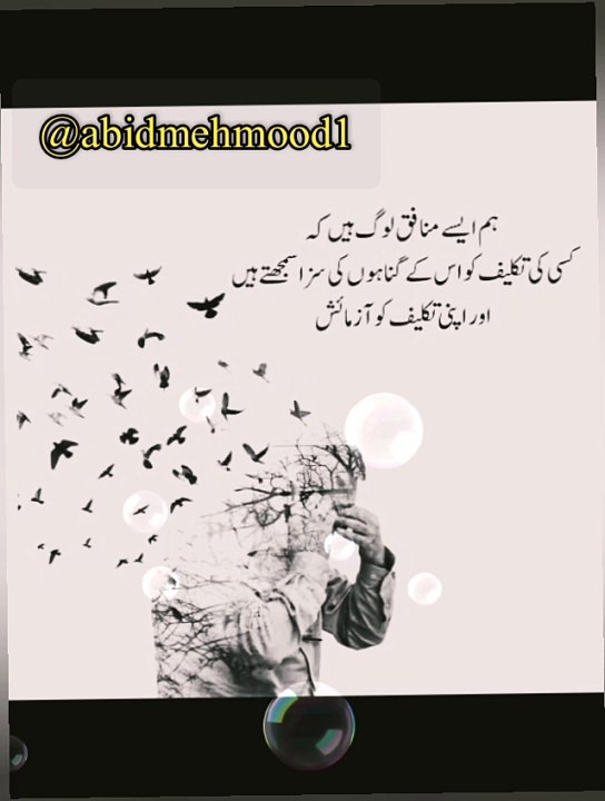 Munafiq