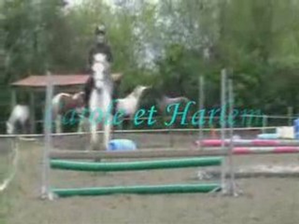 Concours du 29 mars 2008 chevaux