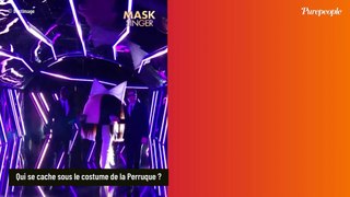 Mask Singer 2024 : La Perruque démasquée ? On pense savoir qui se cache sous ce costume