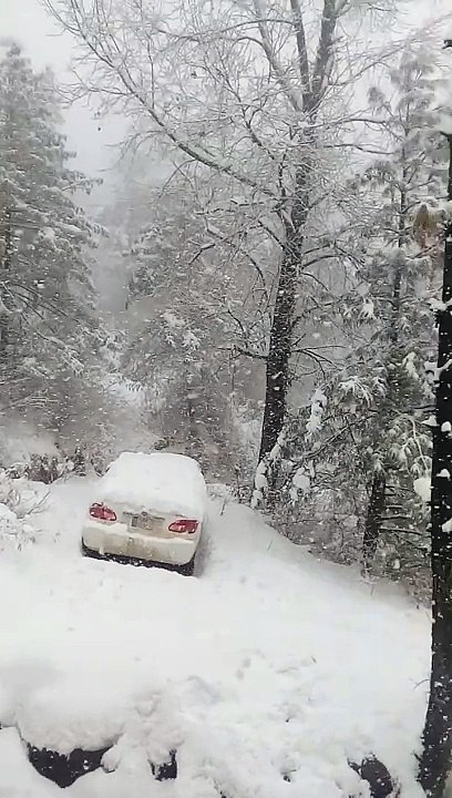 Snow falling Snow bueaty