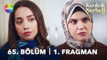 Kızılcık Şerbeti 65. Bölüm 1. Fragman | 