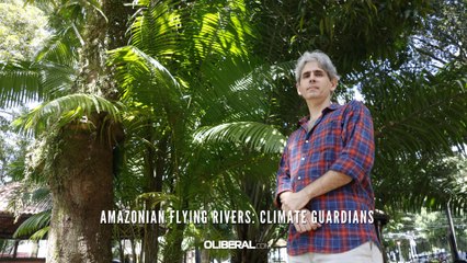 Amazonian flying rivers: climate guardians