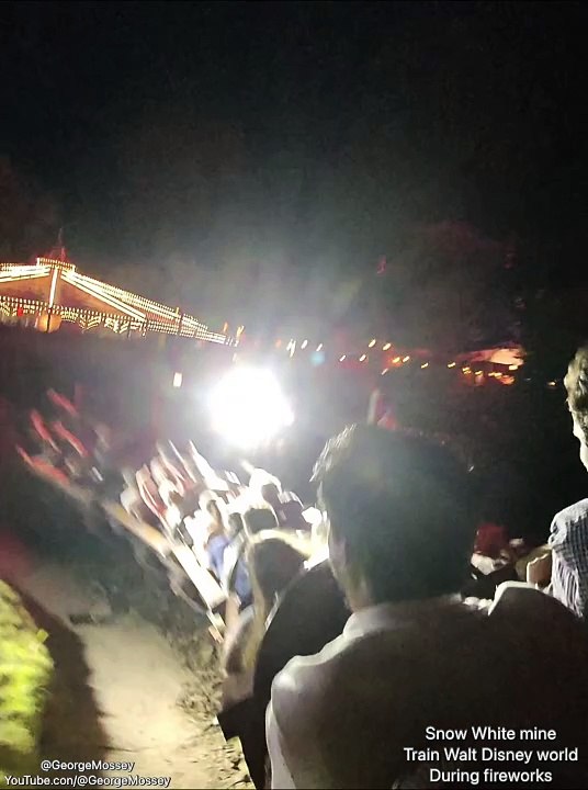 Seven Dwarfs Mine Train Walt Disney World: Magic Kingdom during the Happily Ever After fireworks.