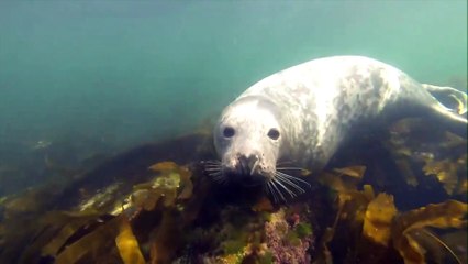 24 MAI TOPO LP chasse aux phoques_V2