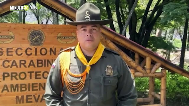 Tan vivos’ Sujetos lavaban carros con un hidratante de control de incendios en Medellín