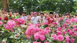 [영상] 봄과 여름 사이...대전 한밭수목원 꽃축제 / YTN