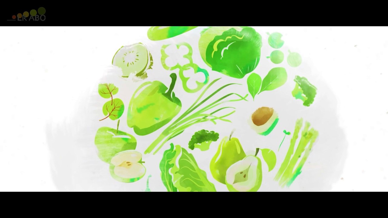 Dr. Werchan: 3 wesentliche Stoffwechselprozesse die man kennen muss