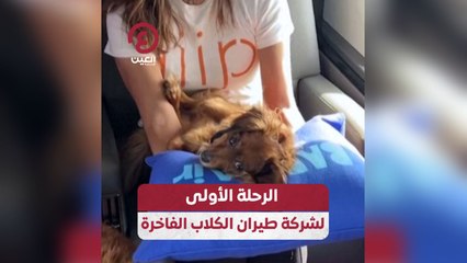 الرحلة الأولى لشركة طيران الكلاب الفاخرة