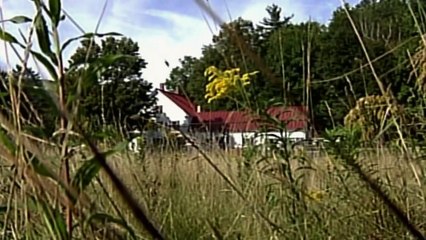 NO BOSQUE À MEIA NOITE - T1 EP2 SINAIS DE UM PSICOPATA