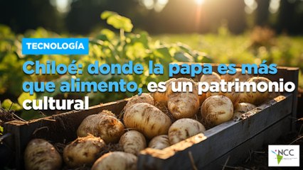 Chiloé: donde la papa es más que alimento, es un patrimonio cultural