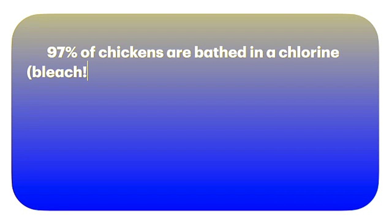 97% of chickens, even organic, get bathed in