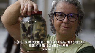 Bióloga da Universidade Federal do Pará fala sobre as serpentes mais comuns no Pará