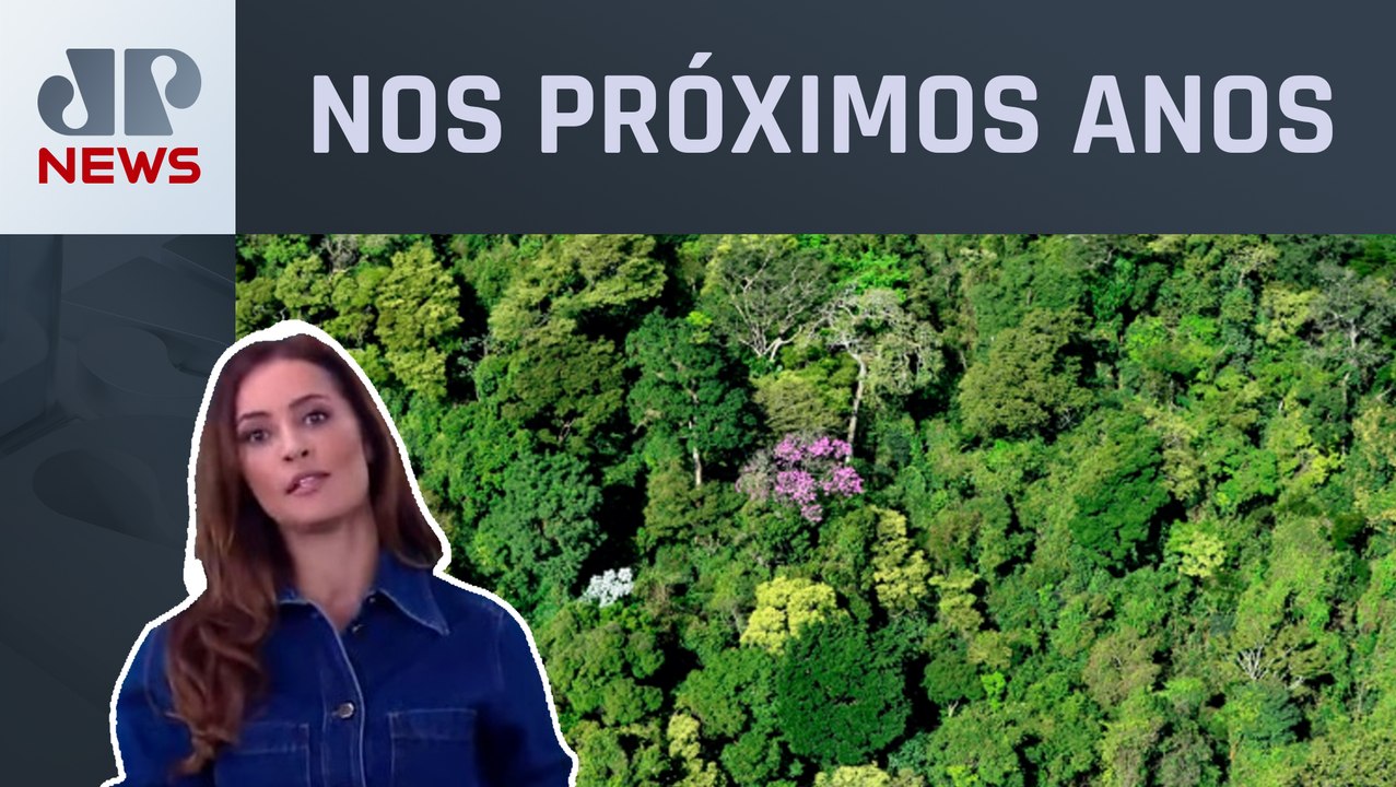 América Latina terá mais de 15 milhões de vagas na área ambiental; Patrícia Costa analisa