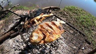 Pesca y Cocina en Solitario | Uso Semillas de Carnada | Palometas y Bagres | Arroyo Urquiza | Pesca de Barrio