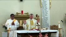 Catholic Mass Today I Daily Holy Mass I Saturday May 25 2024 I English Holy Mass