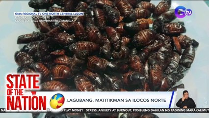 State of the Nation Part 2 & 3: Pritong salagubang; Beer na galing sa tubig-kanal; Pinatitigil ang pagatake sa Gaza; atbp.