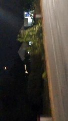 Peto đi đâu cũng có trời sao chạy theo | Cảnh này do Peto cầm máy quay video - Soc01