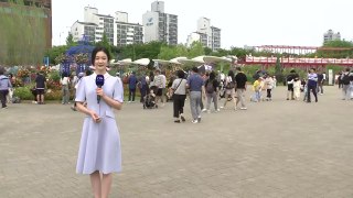 [날씨] 더위 쉬어가는 주말...서울국제정원박람회 한창 / YTN