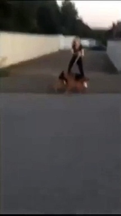 orange cat behavior