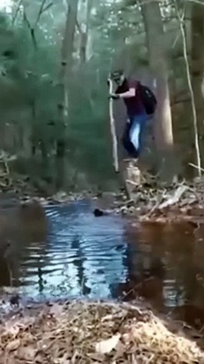 The end  #viral #shorts #fails #funny #fail