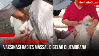 Anak Balita Jadi Korban, Vaksinasi Rabies Massal Digelar di Jembrana