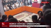 Diyarbakır'da Horoz Koruma Derneği'ne ‘horoz dövüşü' operasyonu