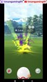 Pokémon GO-Shiny Zubat