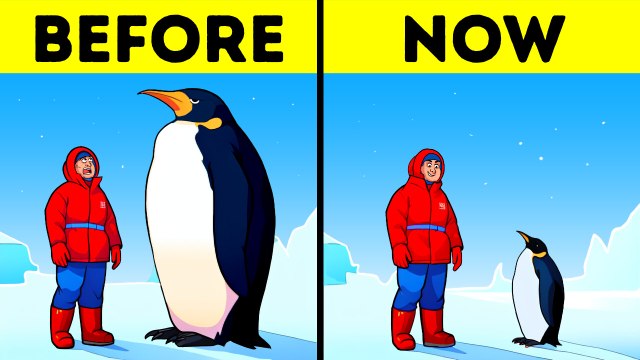 Facts That Will Leave You Asking Is That True?