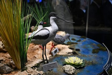 Çukurova Biyoçeşitlilik Tanıtım Merkezi açıldı