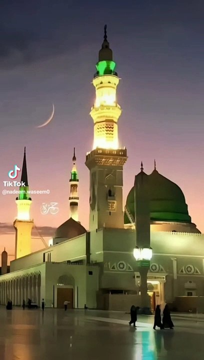 Madeena shreef