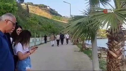 Görenler şaşkına döndü! Yılan değil başka bir tür