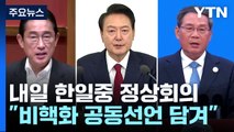 내일 한일중 정상회의...공동선언에 '한반도 비핵화' 담길까 / YTN