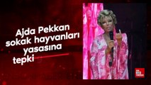 Ajda Pekkan sokak hayvanları yasasına tepki gösterdi