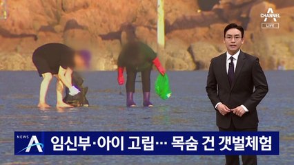 임신부·아이 고립…목숨 건 갯벌체험
