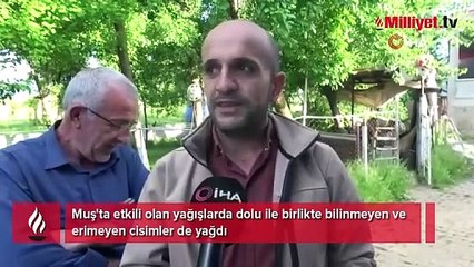 Muş’ta yağan bilinmeyen cisimler şaşırttı
