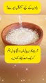 Rice water benefits for hair || Hair care tips #shorts || Health & Wellness